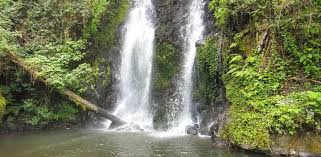 Kinuka Mori Waterfalls Marangu