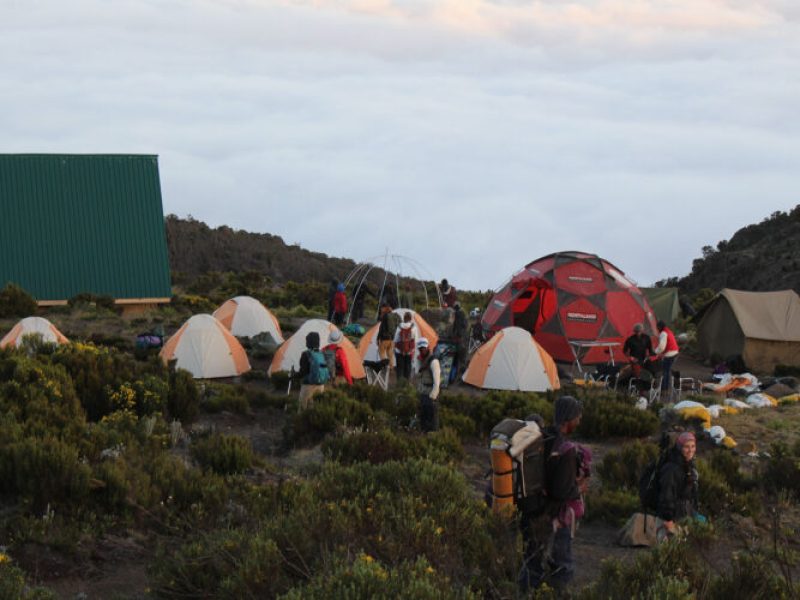 6 Days Kilimanjaro Climb Rongai Route