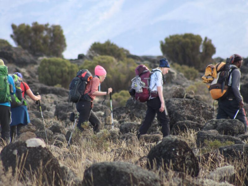 7 Days Kilimanjaro Climb Machame Route