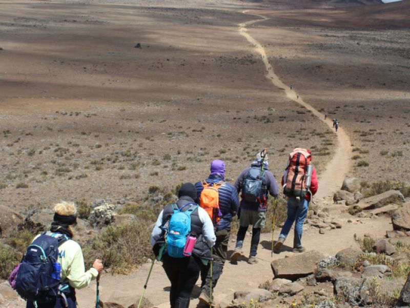 7 Days Kilimanjaro Climb Rongai Route