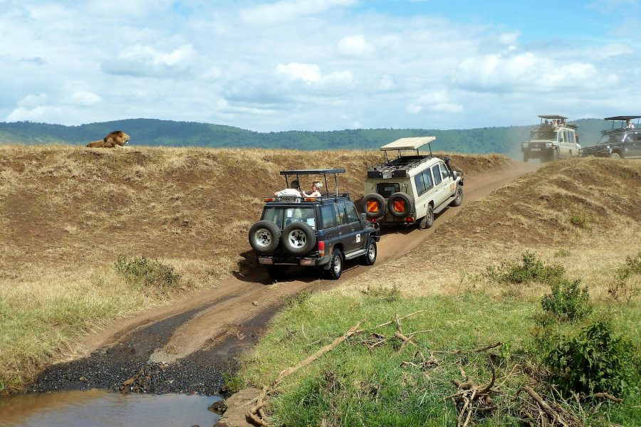 4 Days Tanzania Lodge Safari