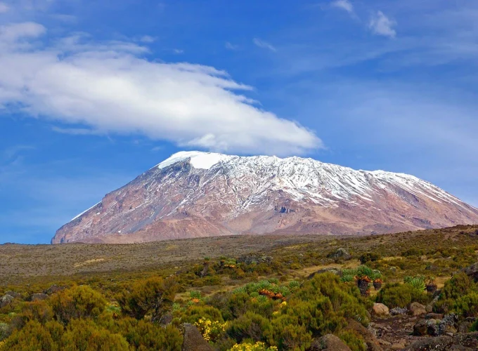 Kilimanjaro Hike Day Trip with Maundi Crater Visit