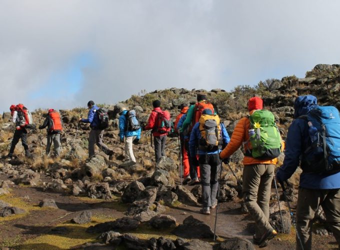1 Day Mount Kilimanjaro Trekking via Shira Route