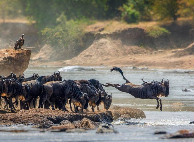 3 Days Migration Safari in Southern Serengeti & Crater