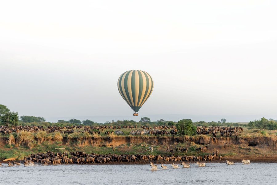 4 Days Soar Above the Savannah