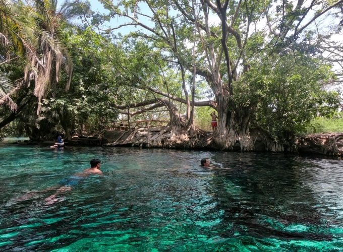 Kikuletwa Hot Springs Day Trip