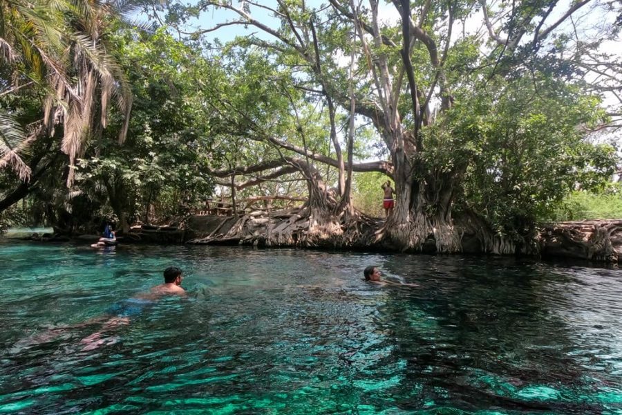 Kikuletwa Hot Springs Day Trip