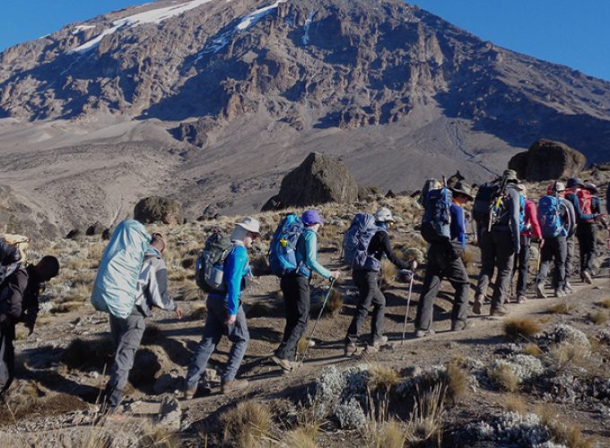 1 Day Mount Kilimanjaro Day Trekking via Marangu Route