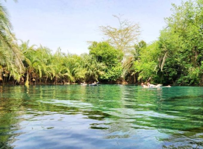 Materuni Waterfall and Kikuletwa Hot Springs Day