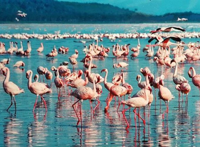 3 Days Tarangire, Ngororongoro and Lake Manyara