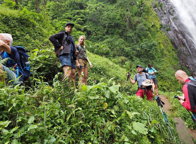 Kilimanjaro Village Walk, Coffee Tour, Waterfall, & Lunch