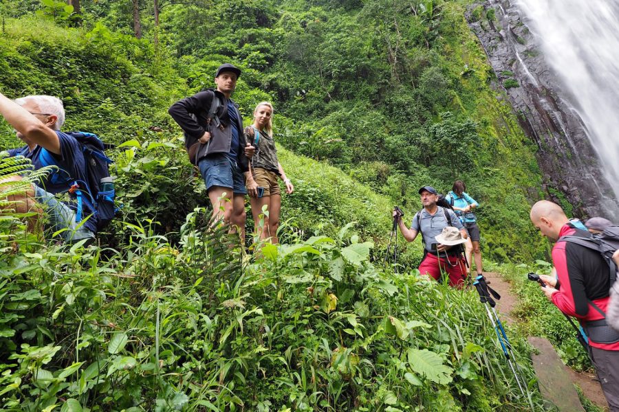 Kilimanjaro Village Walk, Coffee Tour, Waterfall, & Lunch