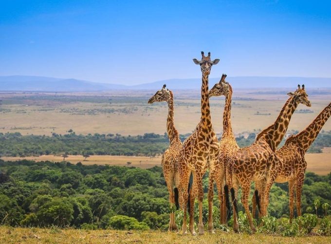 2 Days Wildlife Safari in Tarangire and Ngorongoro Crater