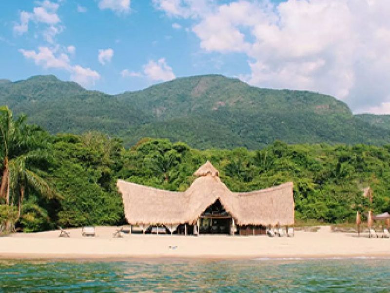 4 Days 3 Nights Mahale Chimpazee Safari