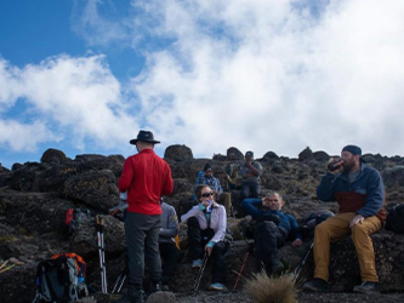 8 Days 7 Nights Kilimanjaro Climb Lemosho Route