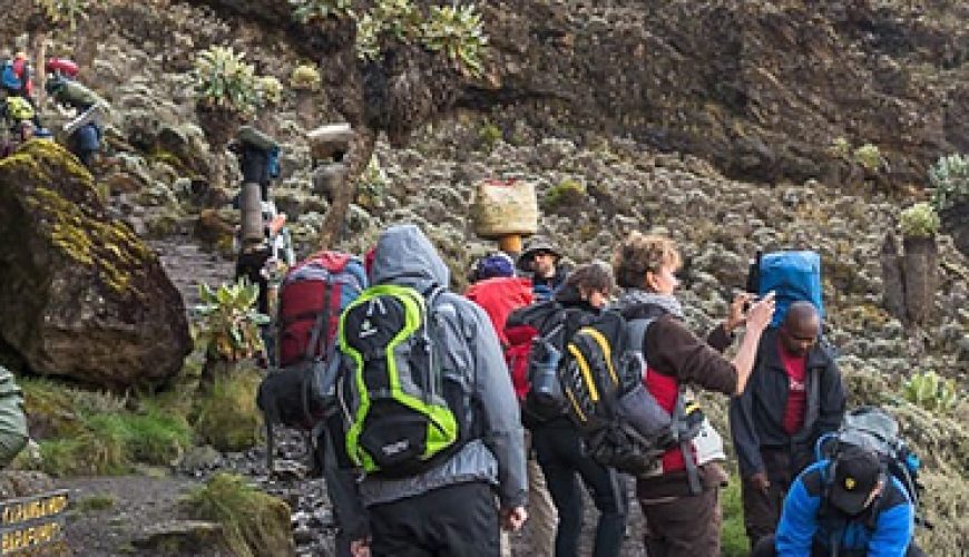 Kilimanjaro Climb 6 Days Shira Route