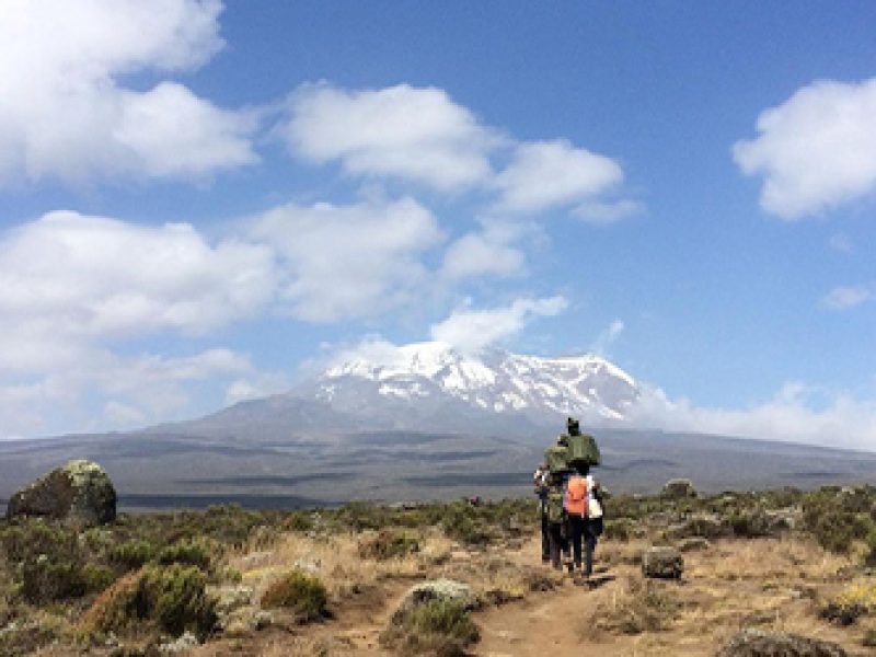 7 Days 6 Nights Kilimanjaro Climb Rongai Route