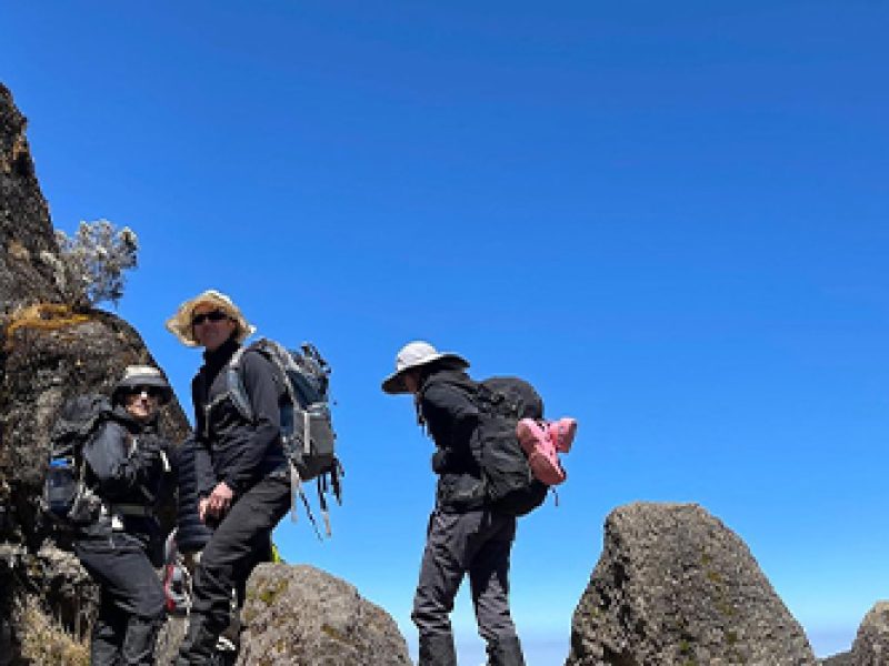 9 Days Kilimanjaro Climb Northern Circuit Route