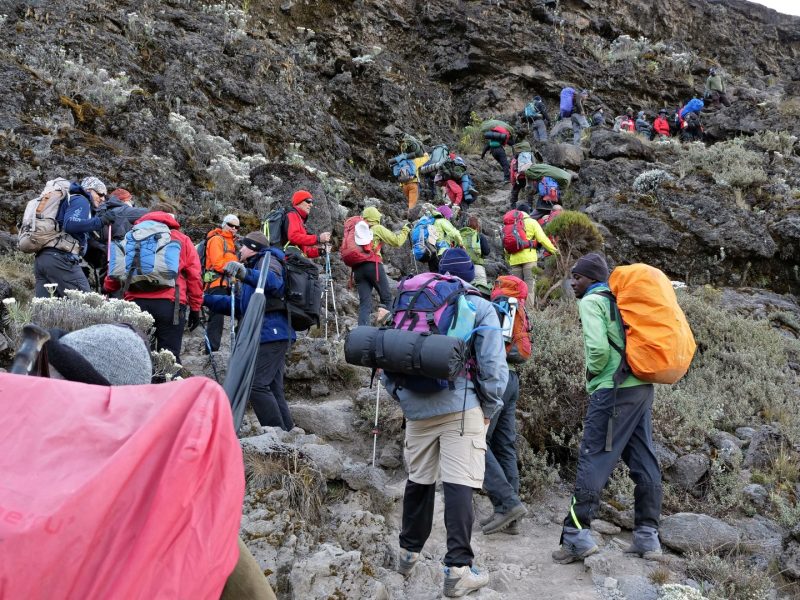 Day Hike on Mount Kilimanjaro